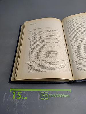 Структура Вселенной в больших масштабах