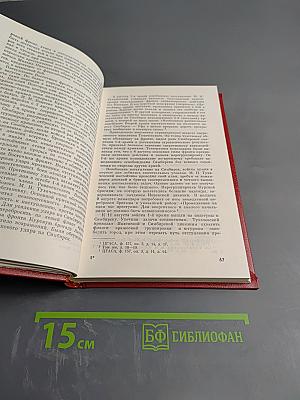 Маршал М.Н. Тухачевский