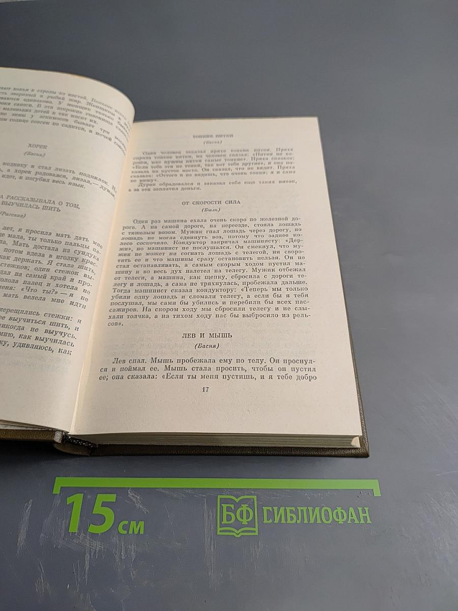 Повести и рассказы 1872-1886. Том второй
