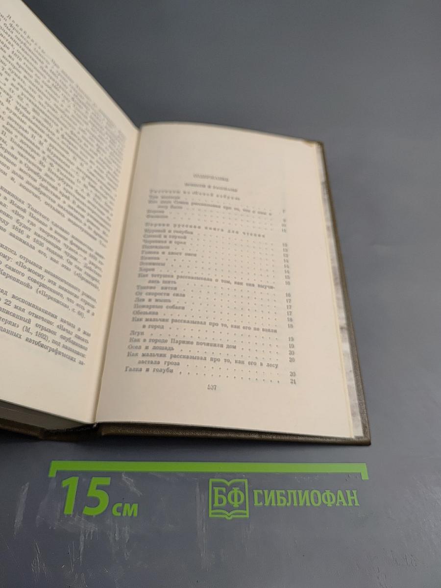 Повести и рассказы 1872-1886. Том второй