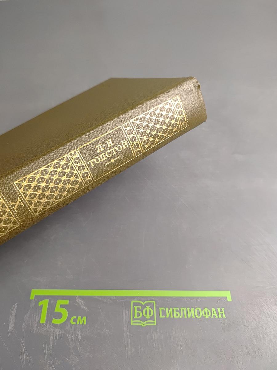 Повести и рассказы 1872-1886. Том второй