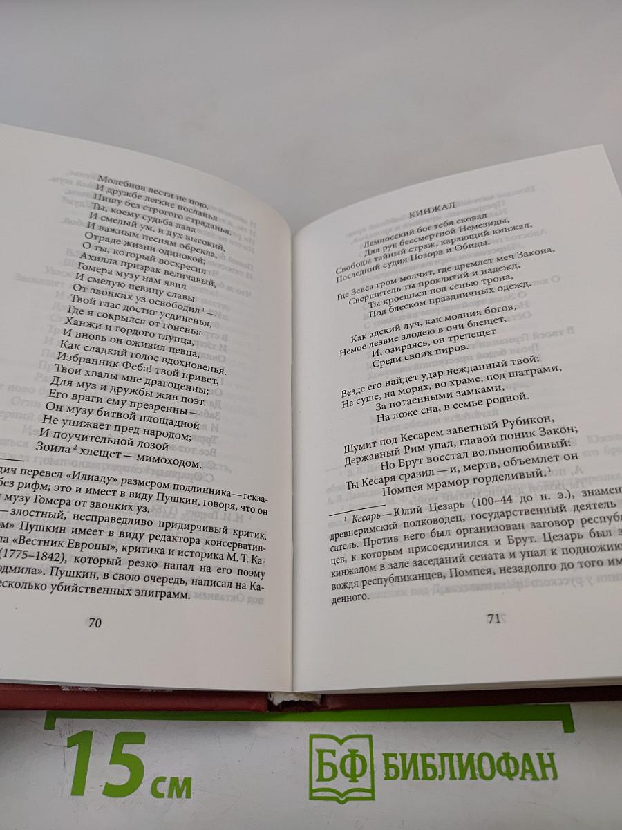 Избранная лирика