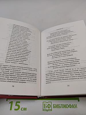 Избранная лирика