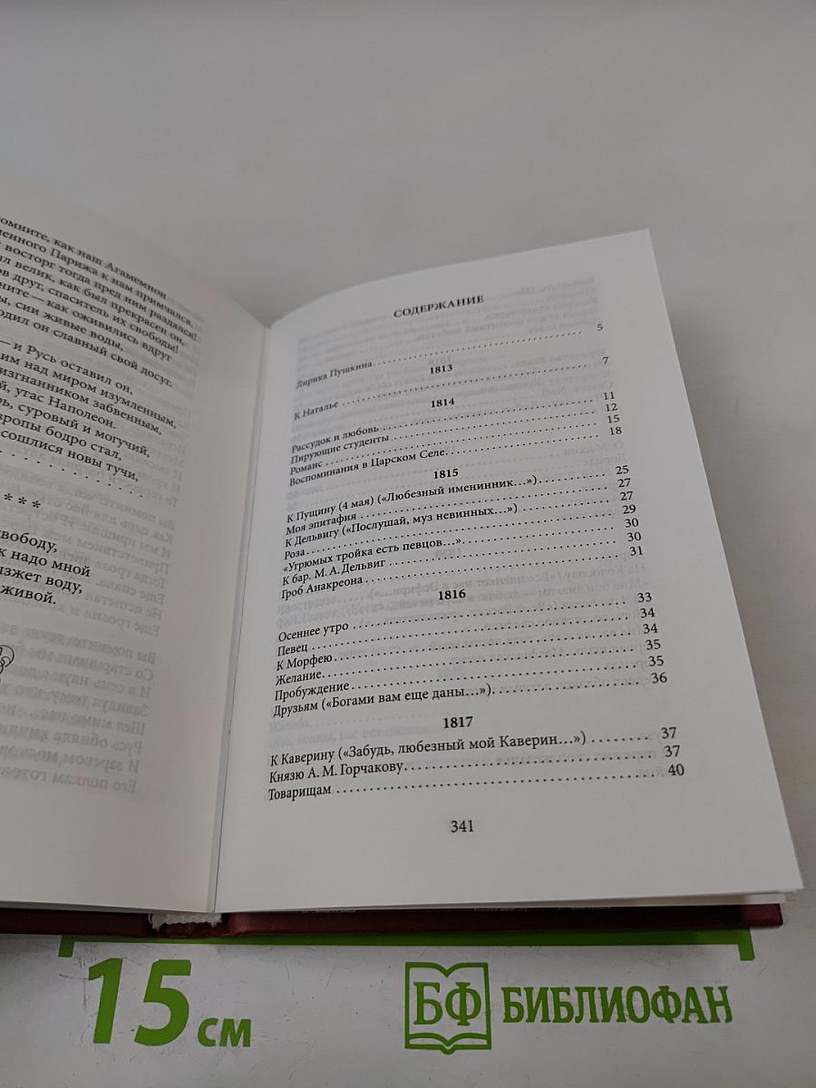 Избранная лирика