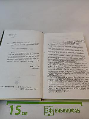 Зеркало Просветления (Послание Играющего Духа)