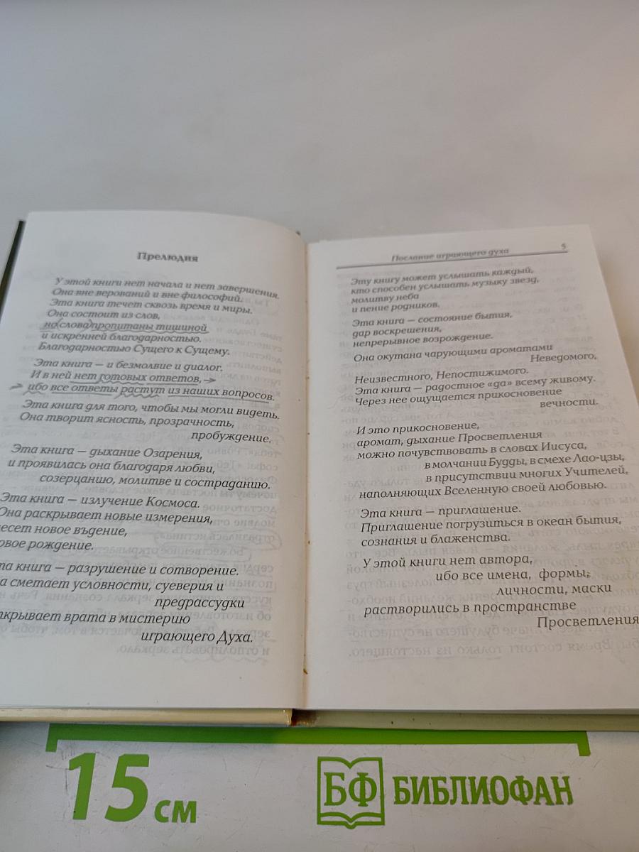 Зеркало Просветления (Послание Играющего Духа)