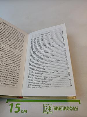 Зеркало Просветления (Послание Играющего Духа)