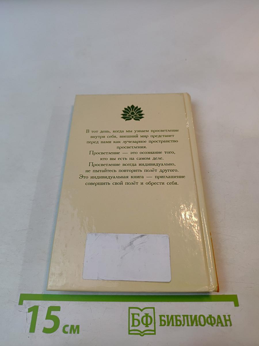 Зеркало Просветления (Послание Играющего Духа)