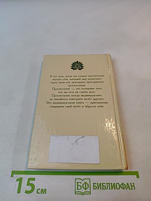 Зеркало Просветления (Послание Играющего Духа)