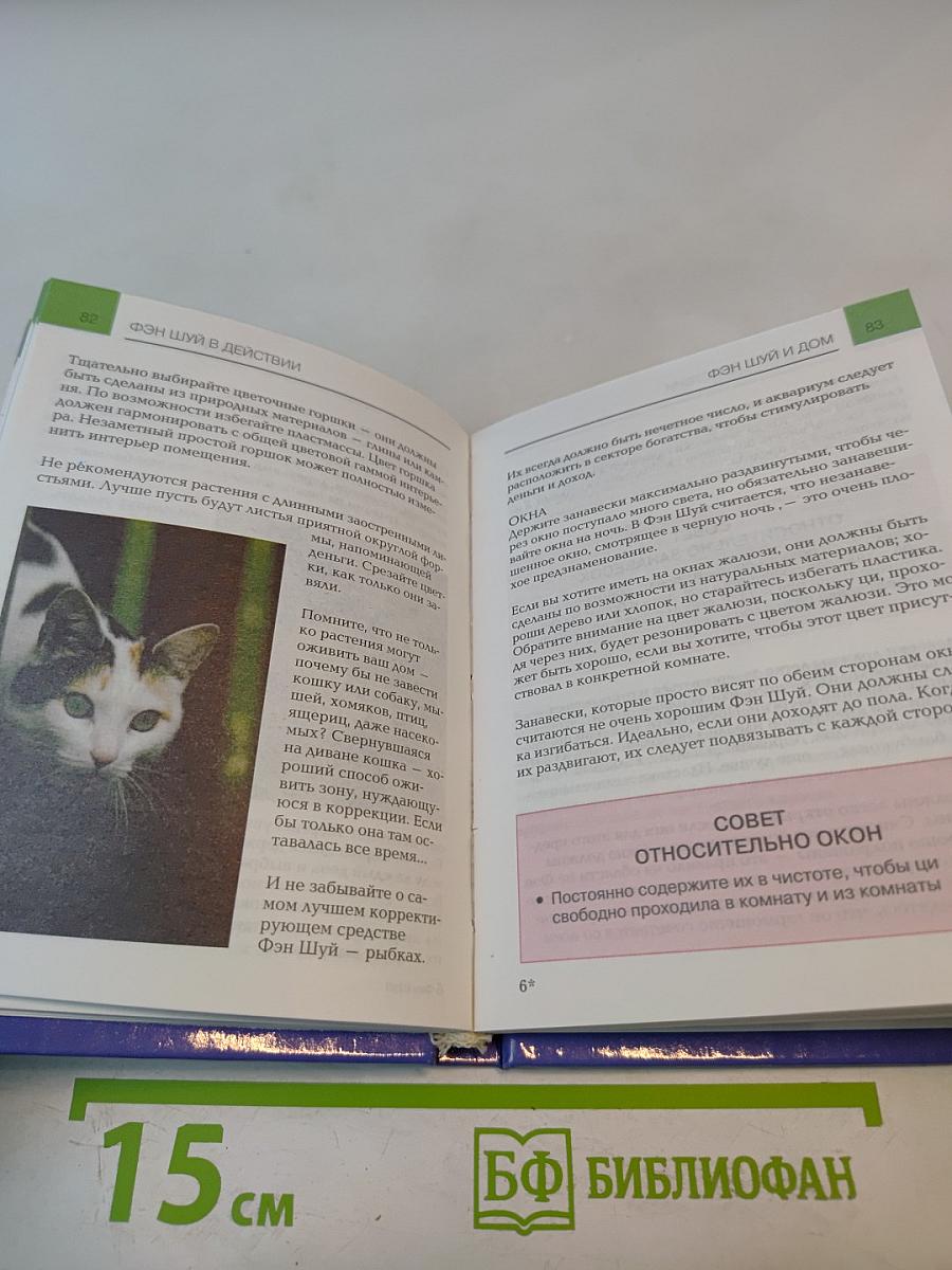 Мини-энциклопедия Фэн Шуй