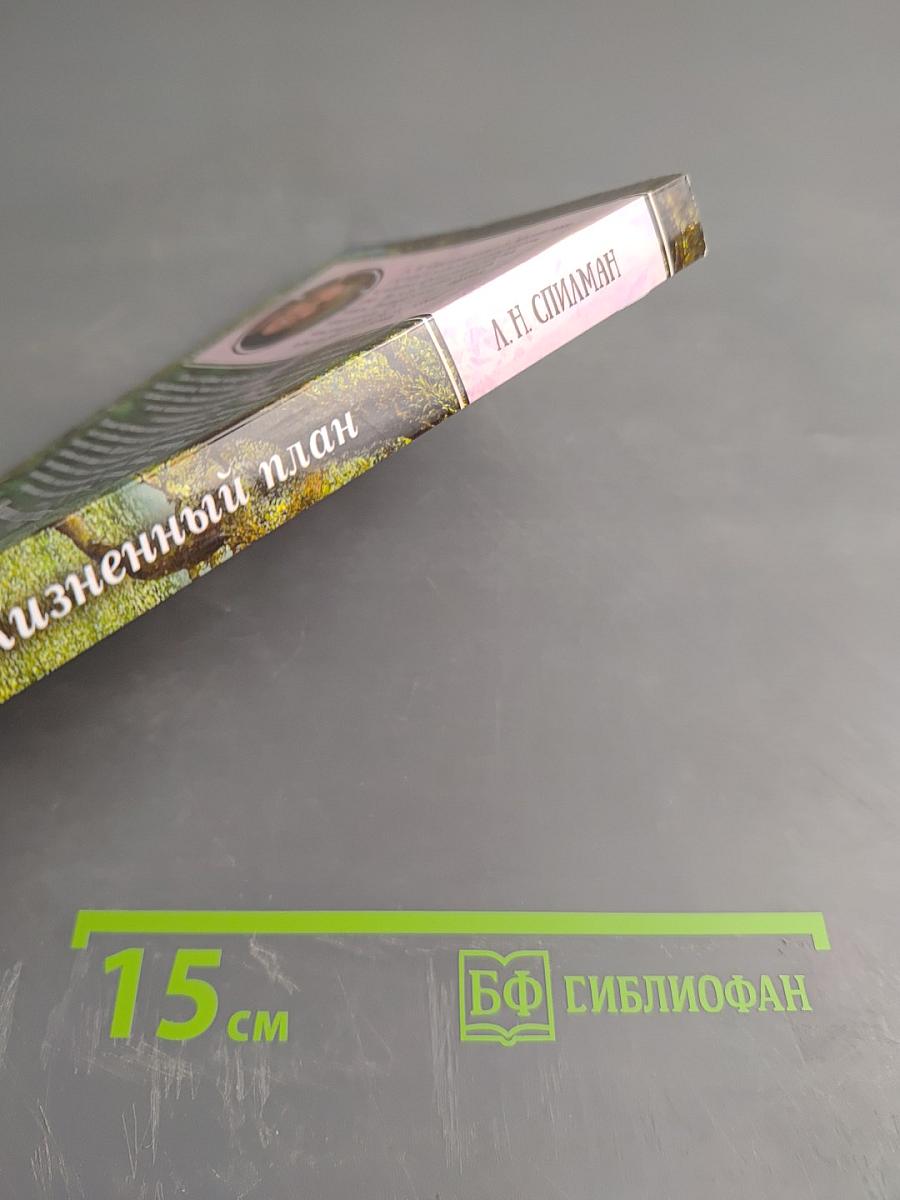 Жизненный план