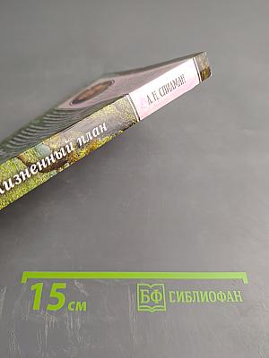 Жизненный план