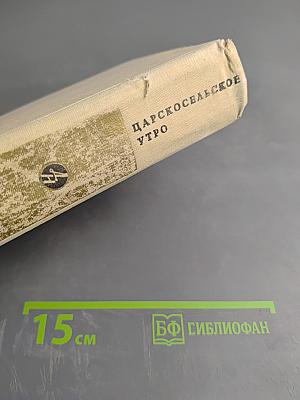 Царскосельское утро