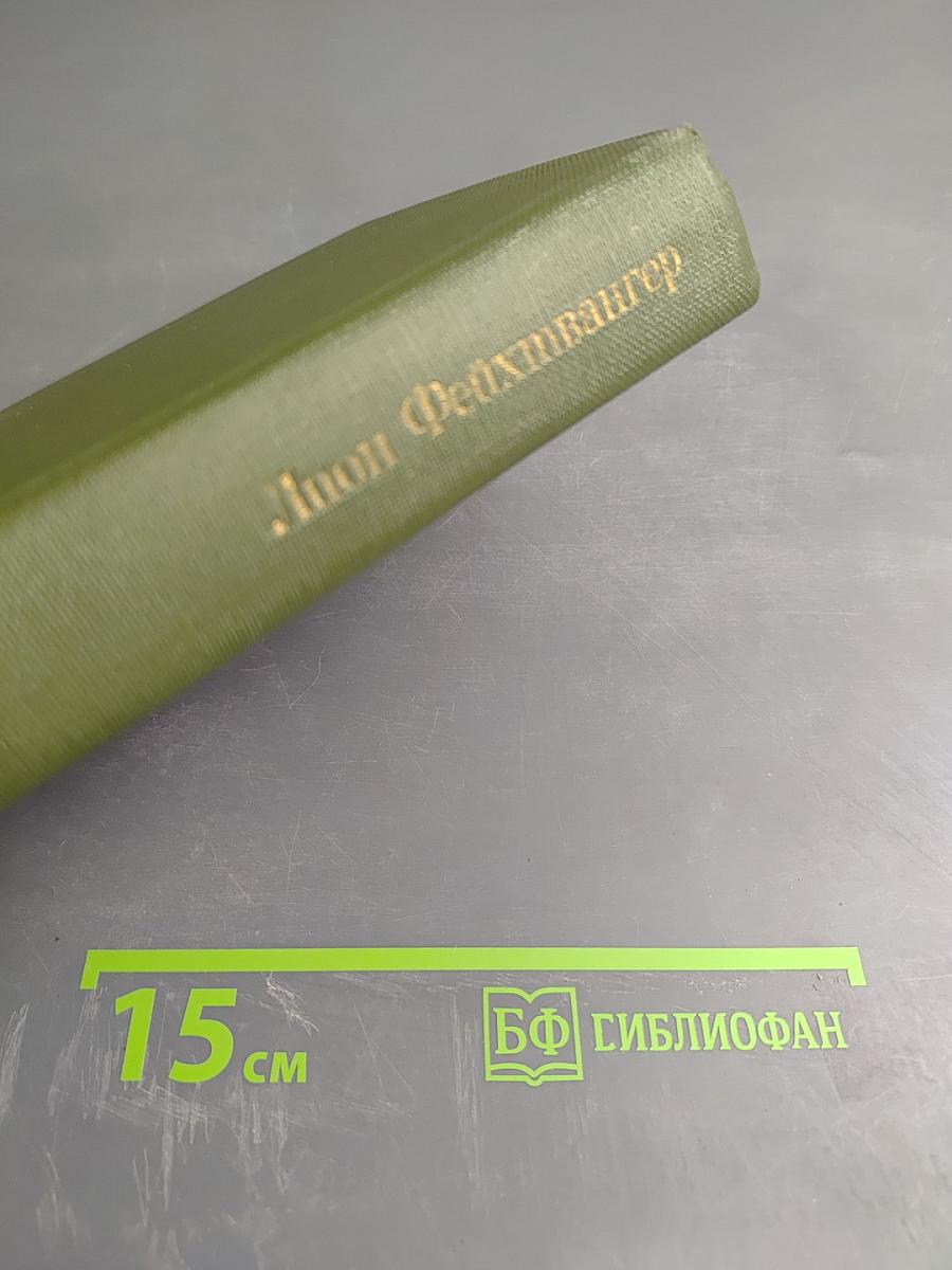 Безобразная герцогиня. Семья Опперман