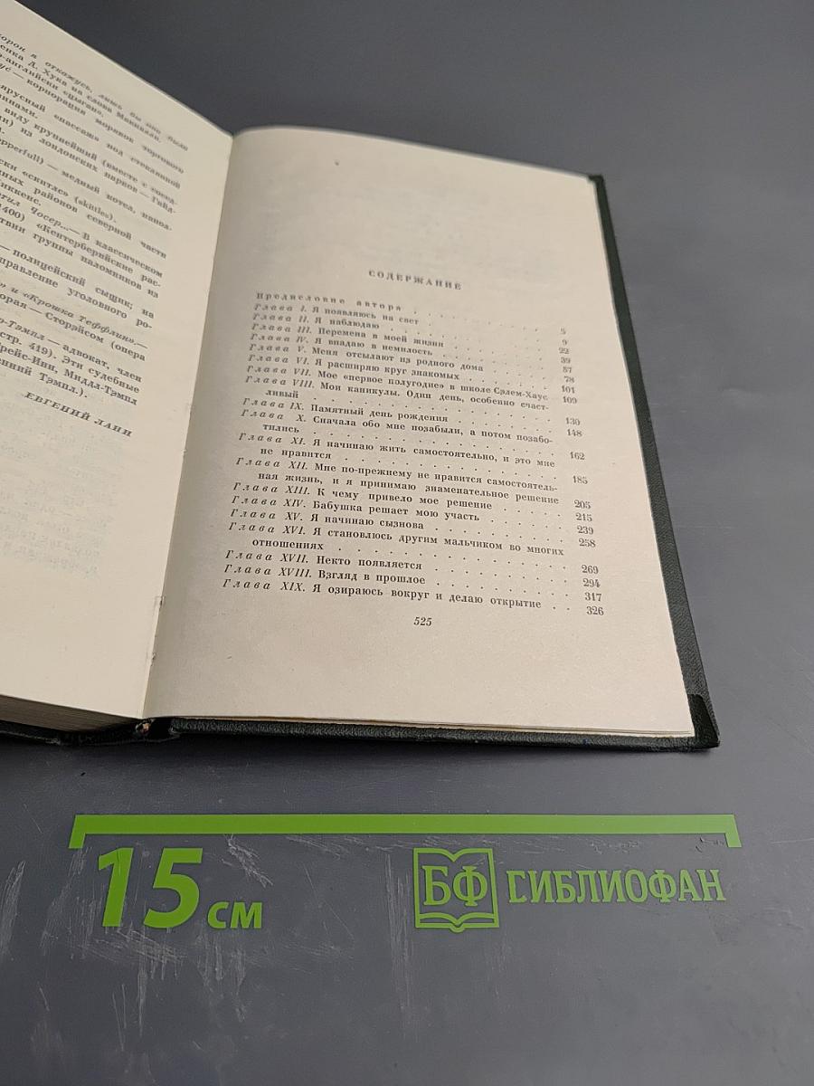 Собрание сочинений. Том пятнадцатый: Жизнь Дэвида Копперфилда, рассказанная им самим (Главы I-XXIX)