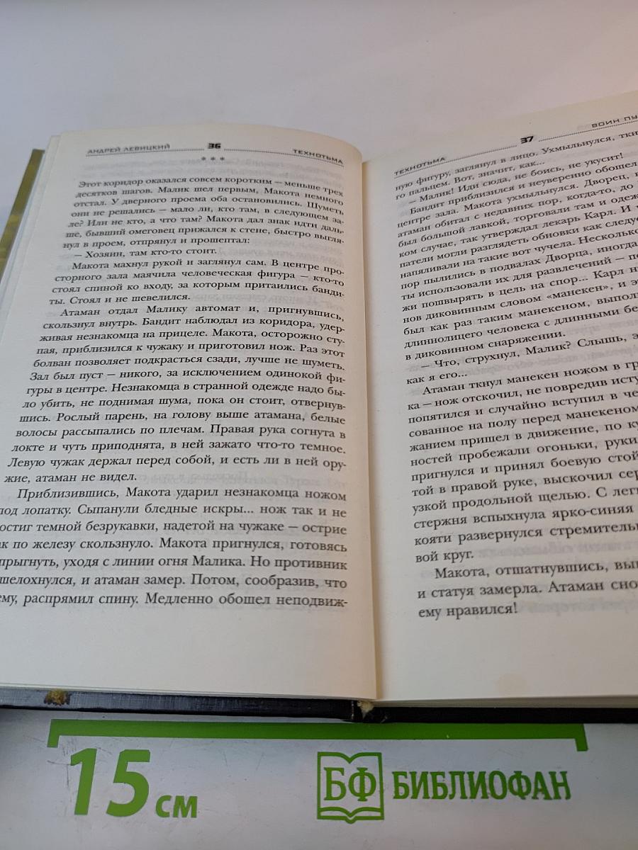 Воин Пустоши