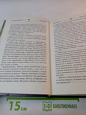 Воин Пустоши