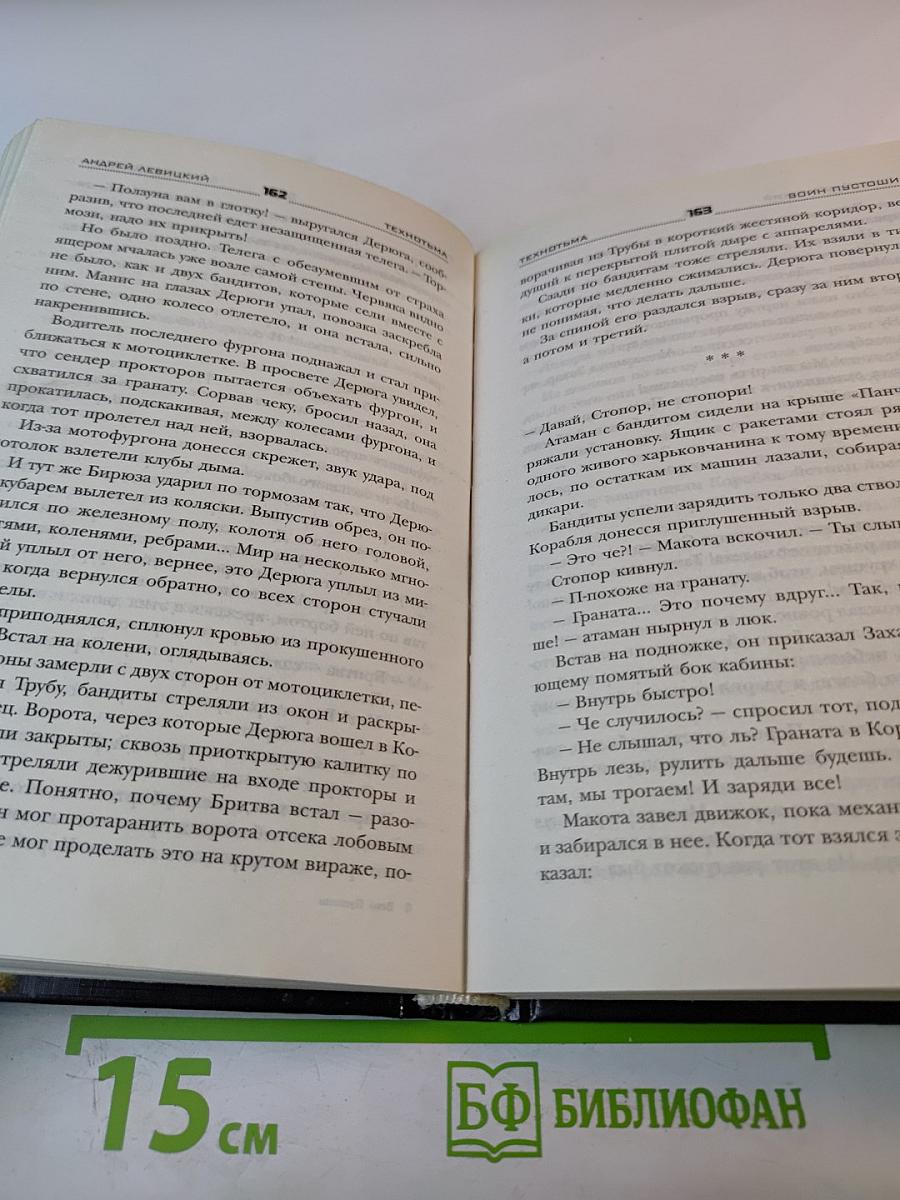 Воин Пустоши