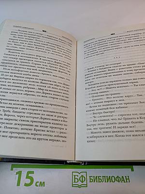 Воин Пустоши