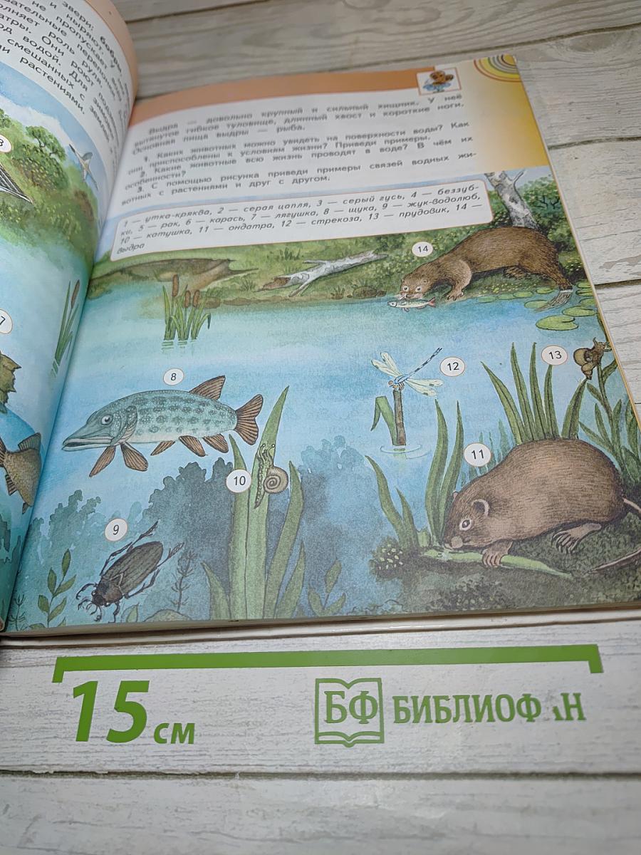 Окружающий мир 4 класс. Часть 1