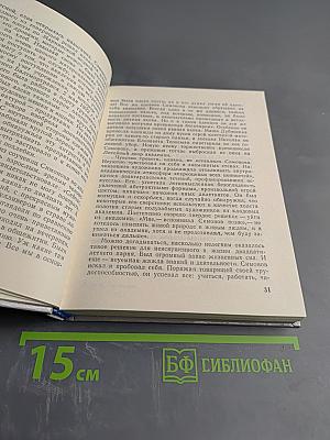 Николай Симонов в Петрограде - Ленинграде