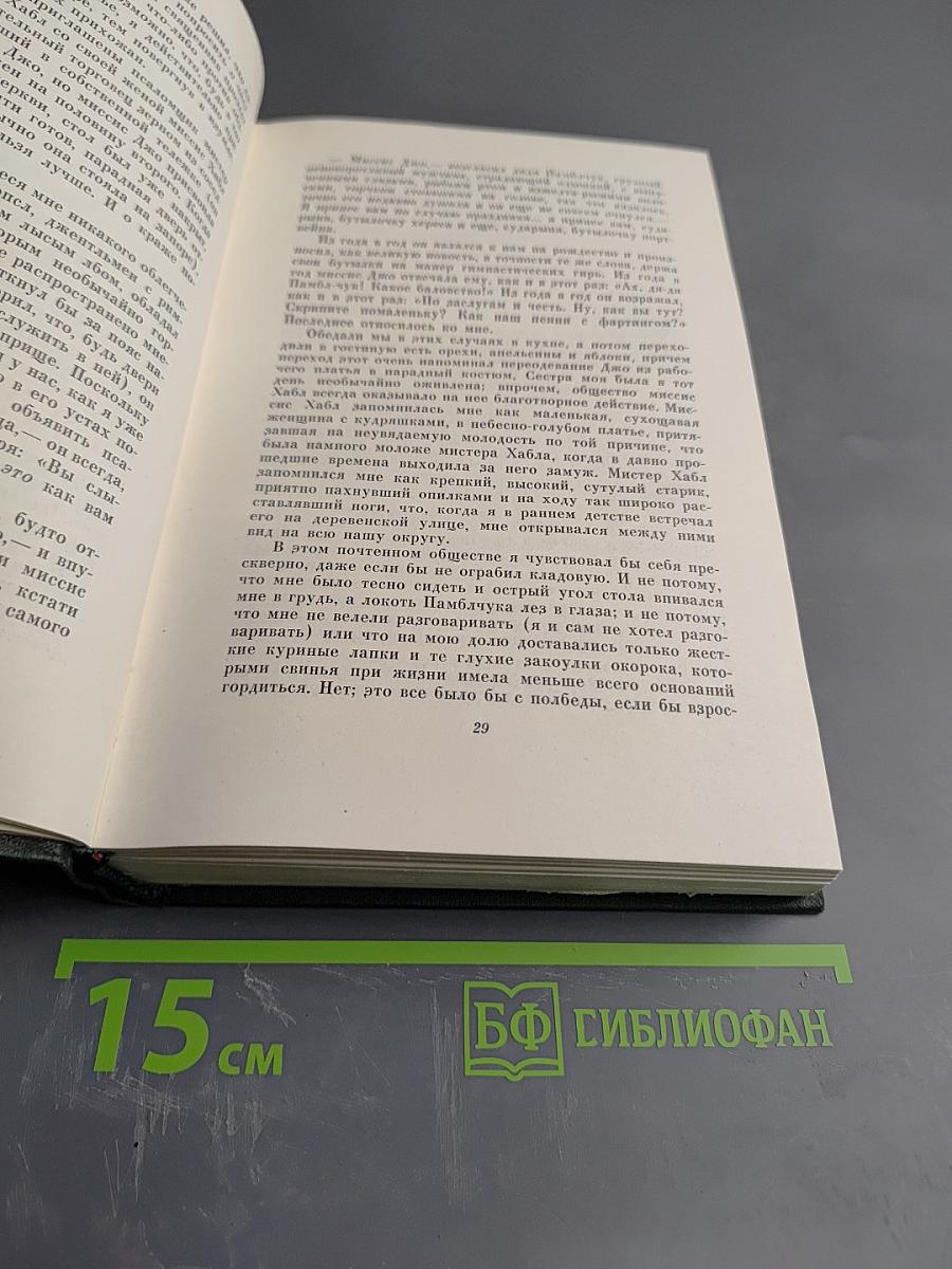Большие надежды. Собрание сочинений Том двадцать третий