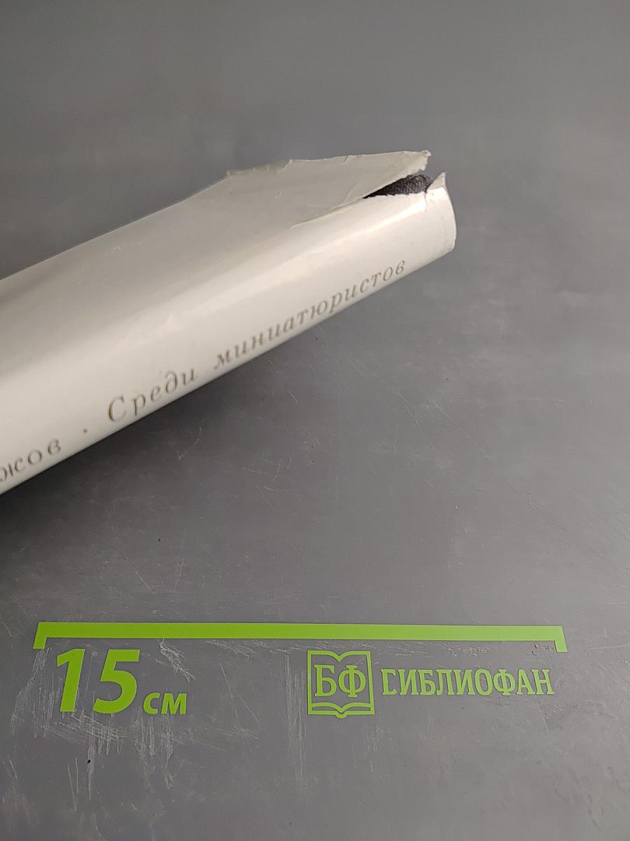 Среди миниатюристов