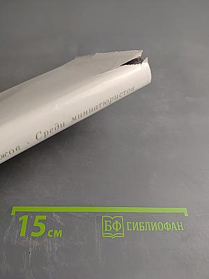 Среди миниатюристов