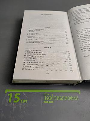 Башня над пропастью