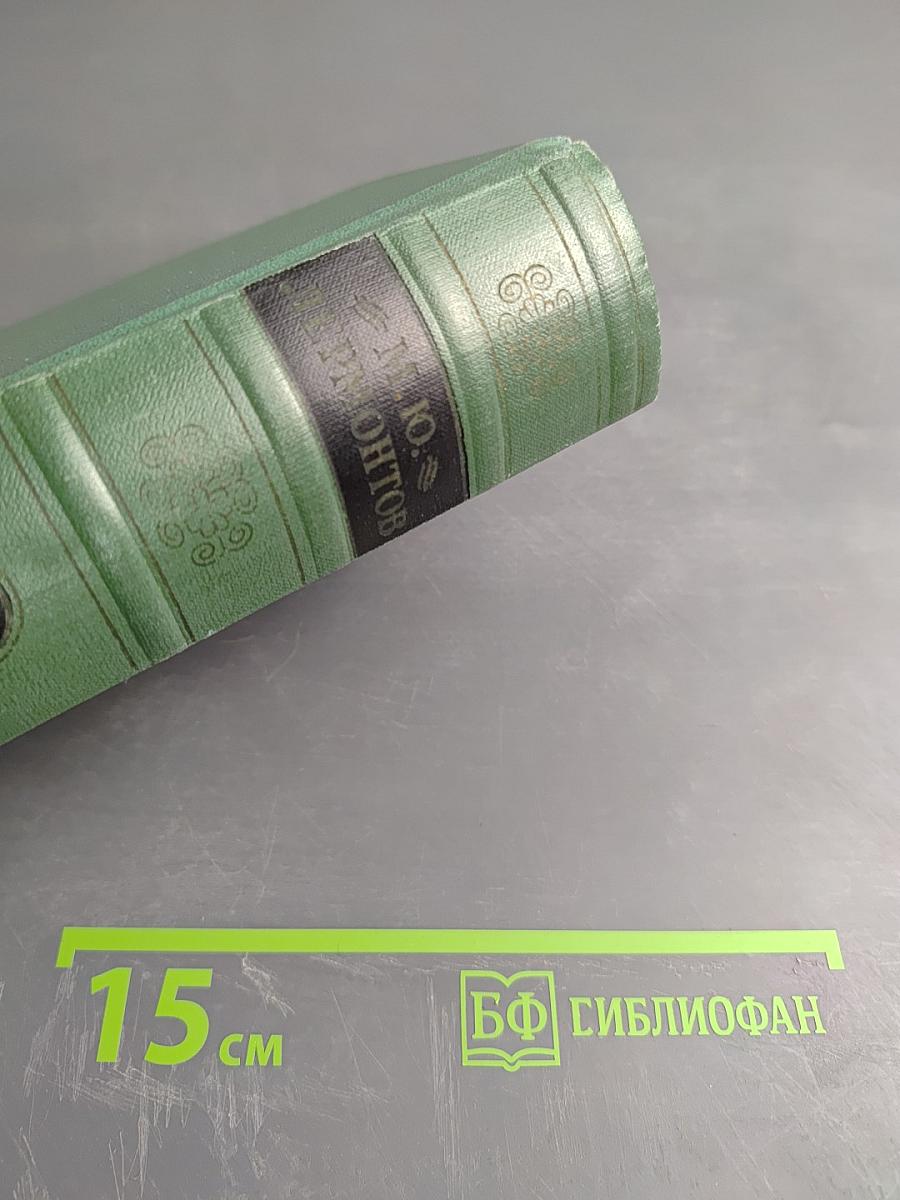 М.Ю. Лермонтов. Том первый. Стихотворения 1828-1841