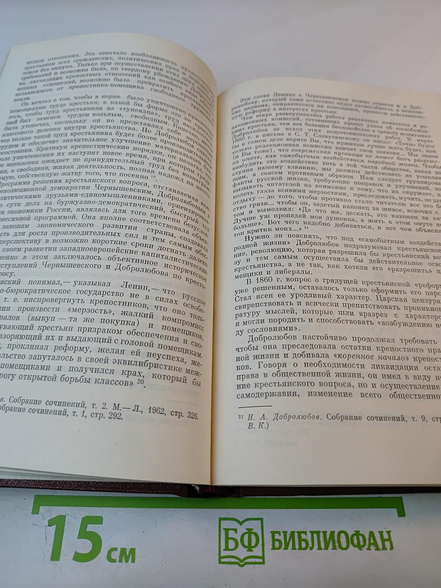 Н.А. Добролюбов. Жизнь, деятельность, мировоззрение