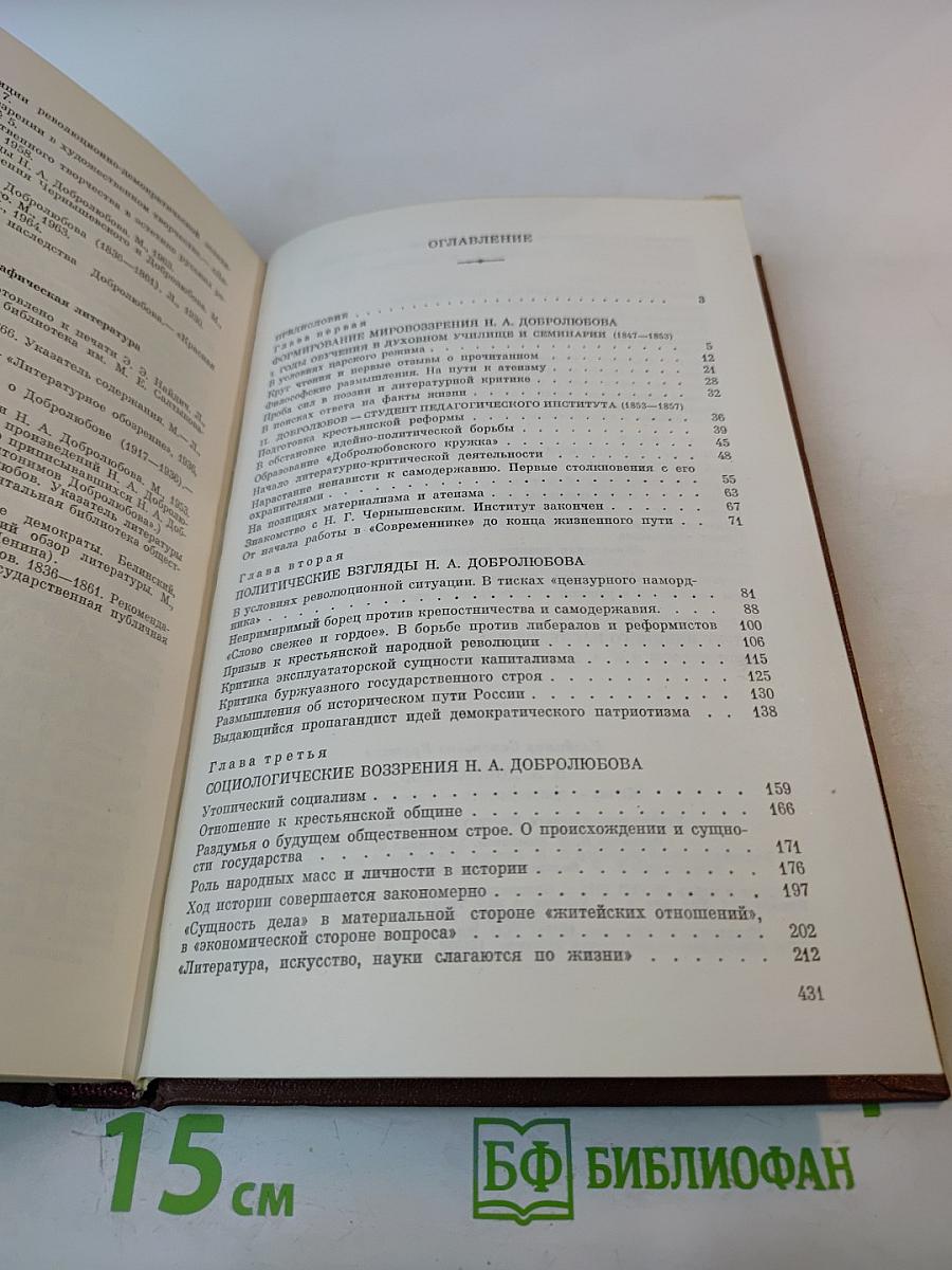 Н.А. Добролюбов. Жизнь, деятельность, мировоззрение
