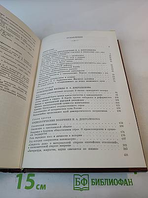 Н.А. Добролюбов. Жизнь, деятельность, мировоззрение