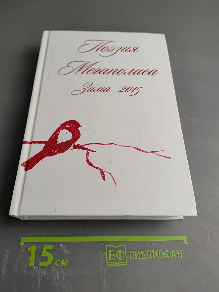 Поэзия Мегаполиса. Зима 2015