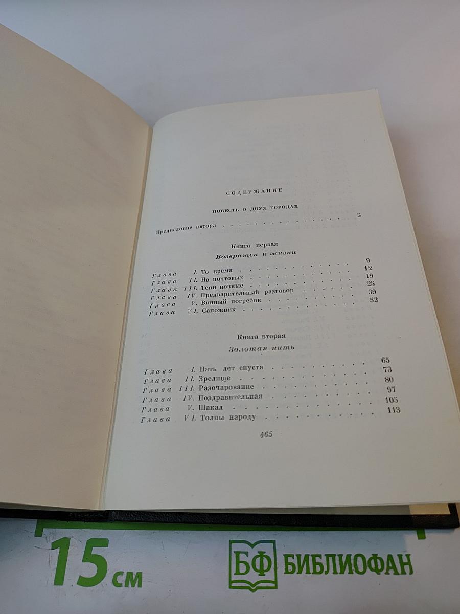 Повесть о двух городах. Том двадцать второй