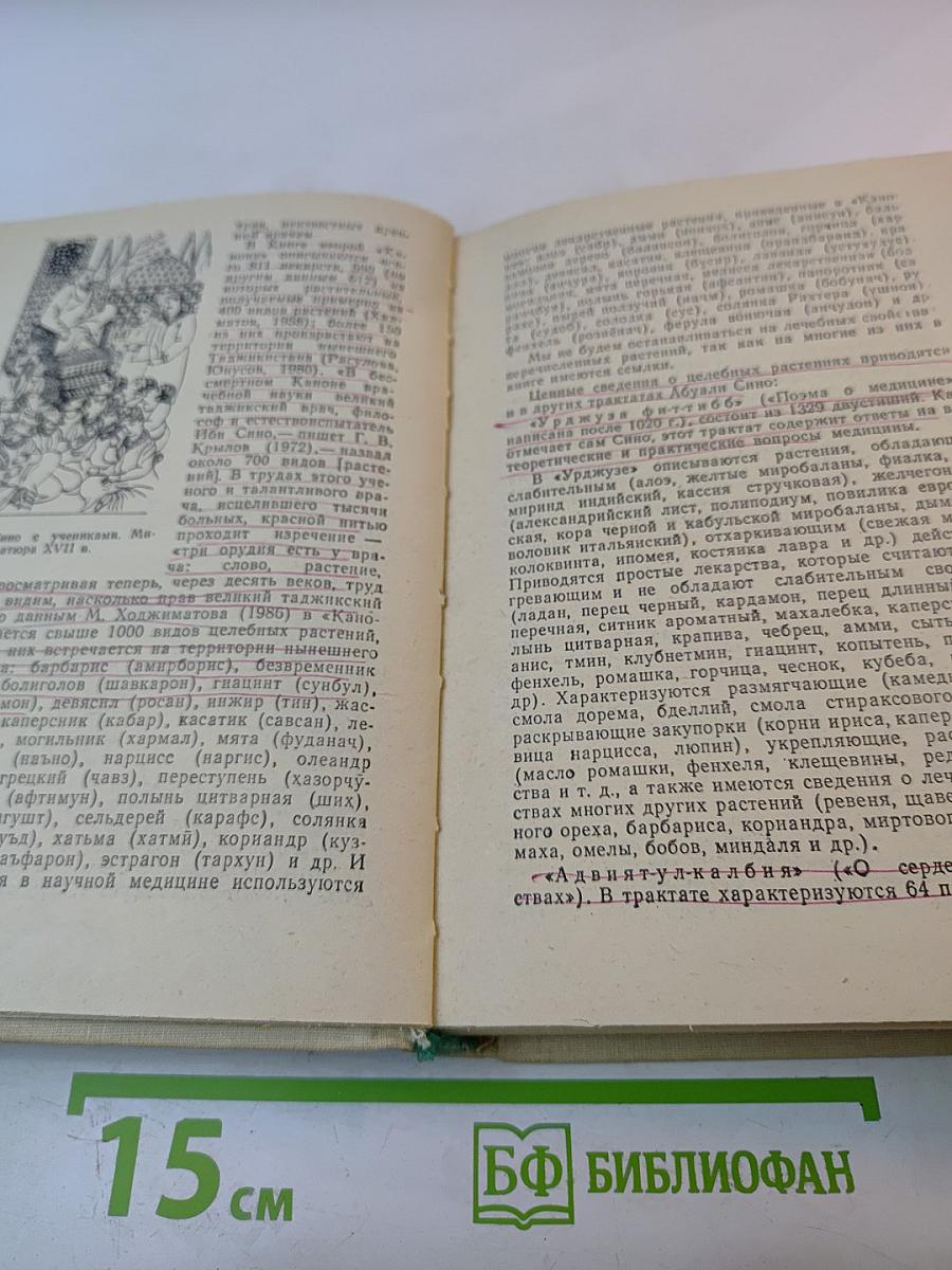 Дикорастущие лекарственные растения Таджикистана