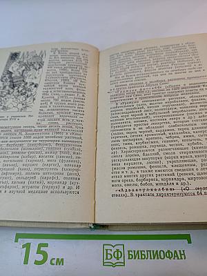 Дикорастущие лекарственные растения Таджикистана