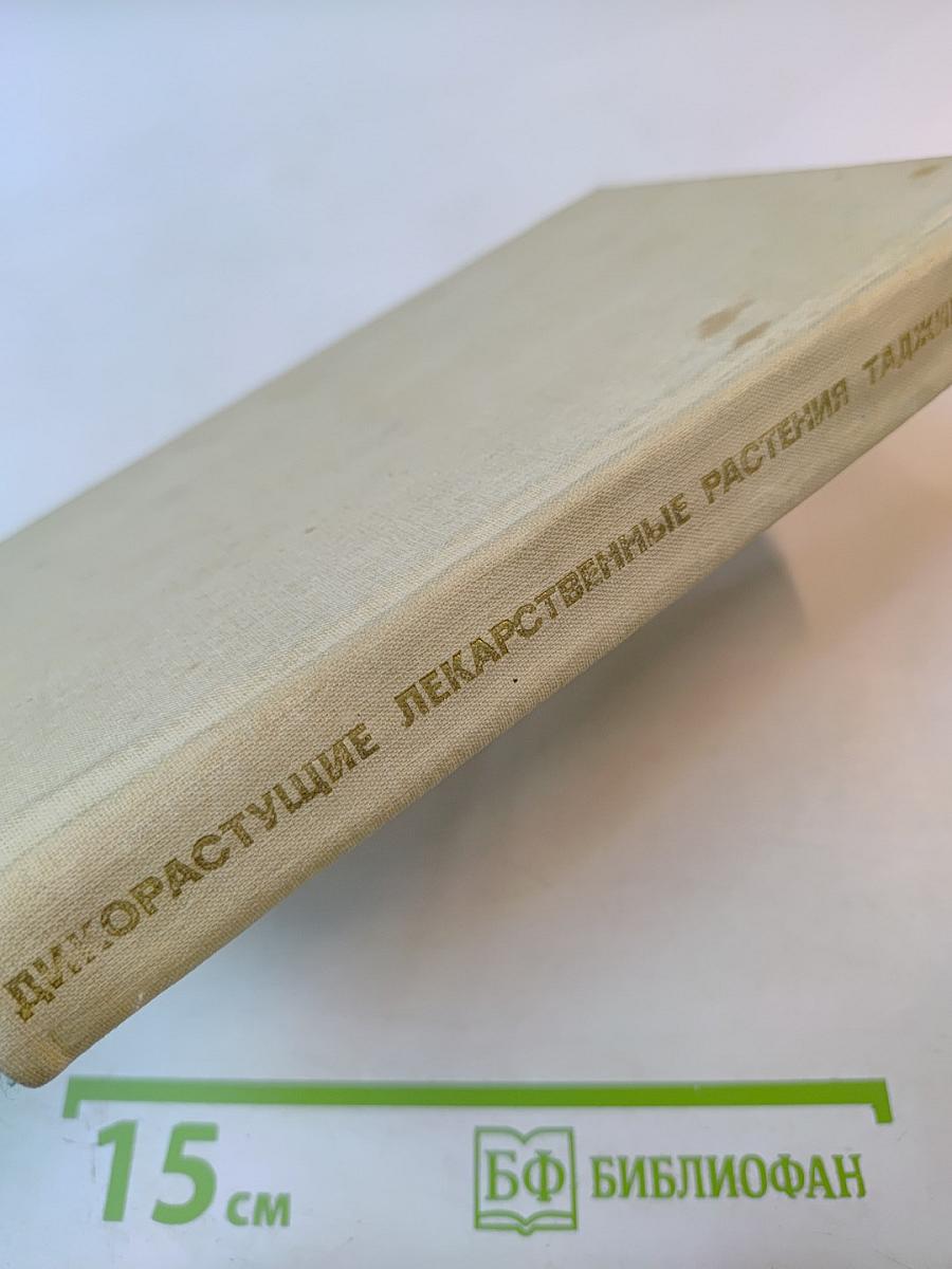 Дикорастущие лекарственные растения Таджикистана