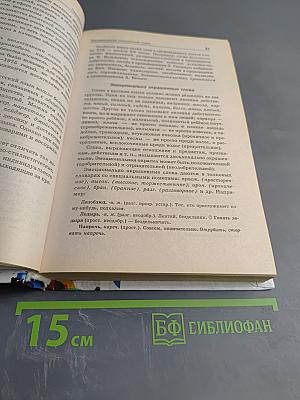 Справочник школьника. Русский язык