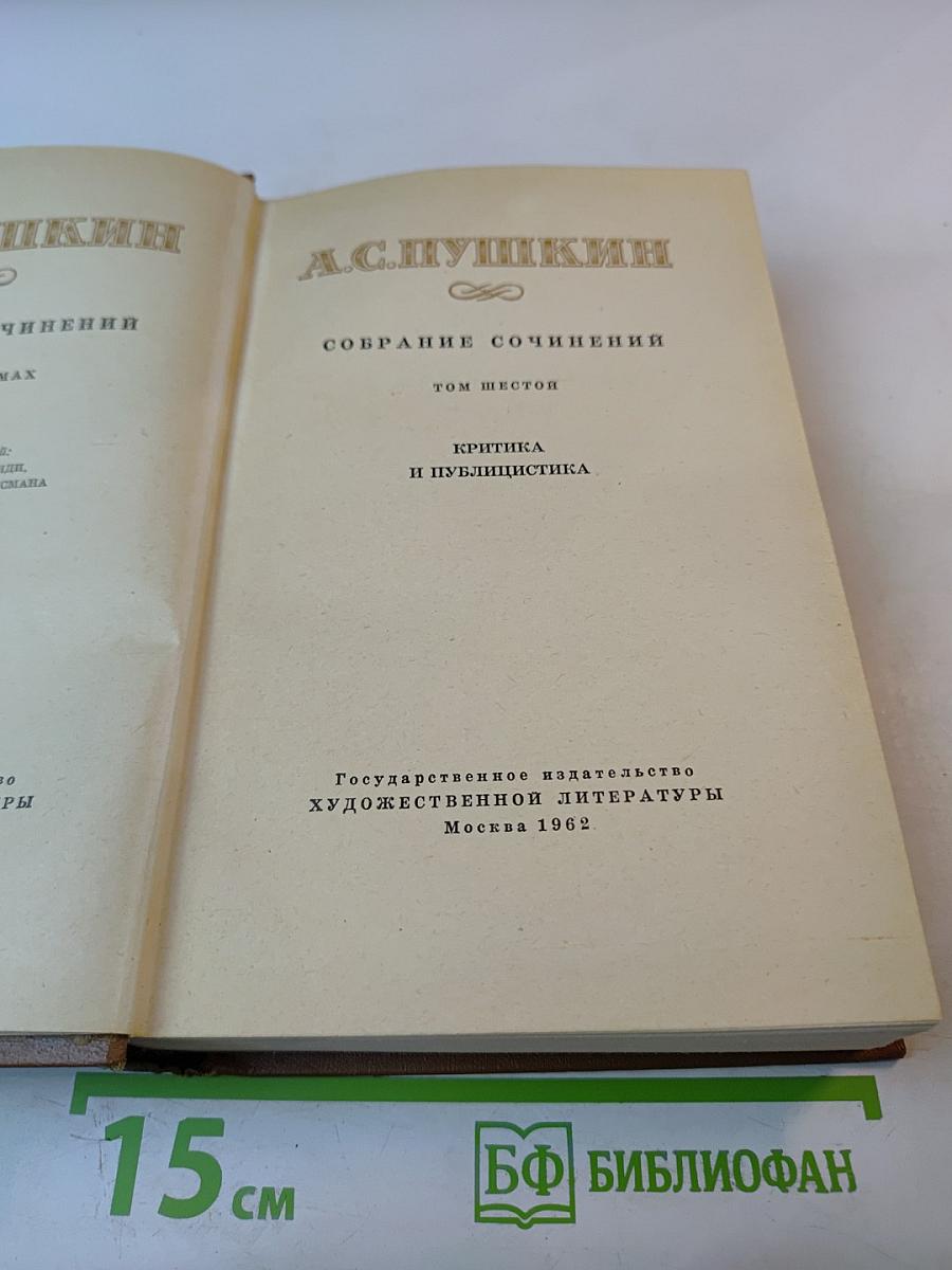 Собрание сочинений. Том шестой. Критика и публицистика