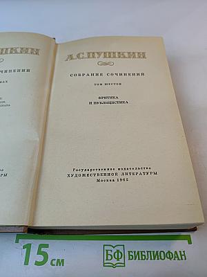 Собрание сочинений. Том шестой. Критика и публицистика