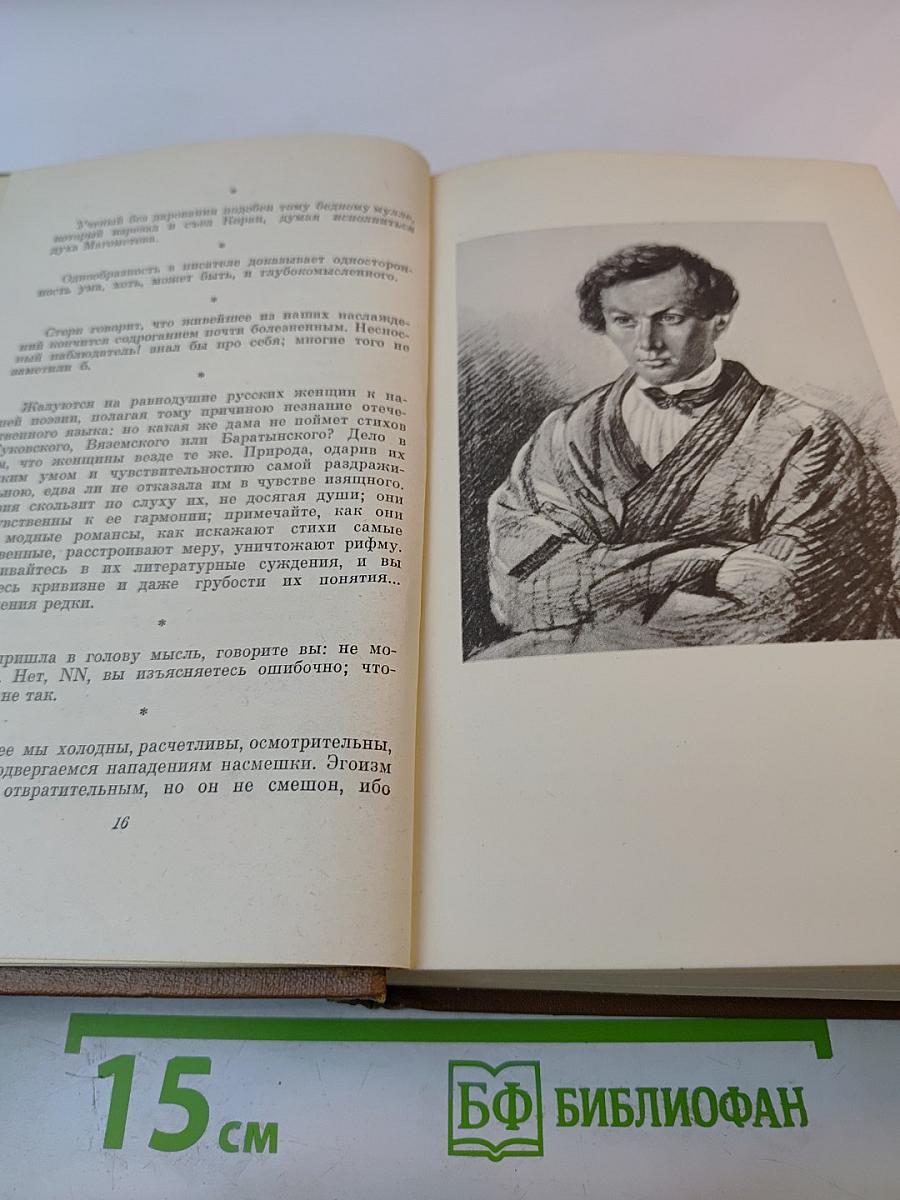 Собрание сочинений. Том шестой. Критика и публицистика
