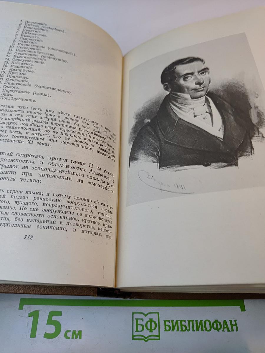 Собрание сочинений. Том шестой. Критика и публицистика
