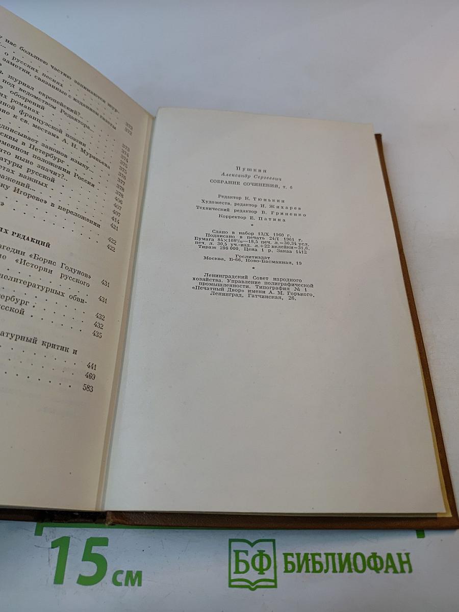Собрание сочинений. Том шестой. Критика и публицистика