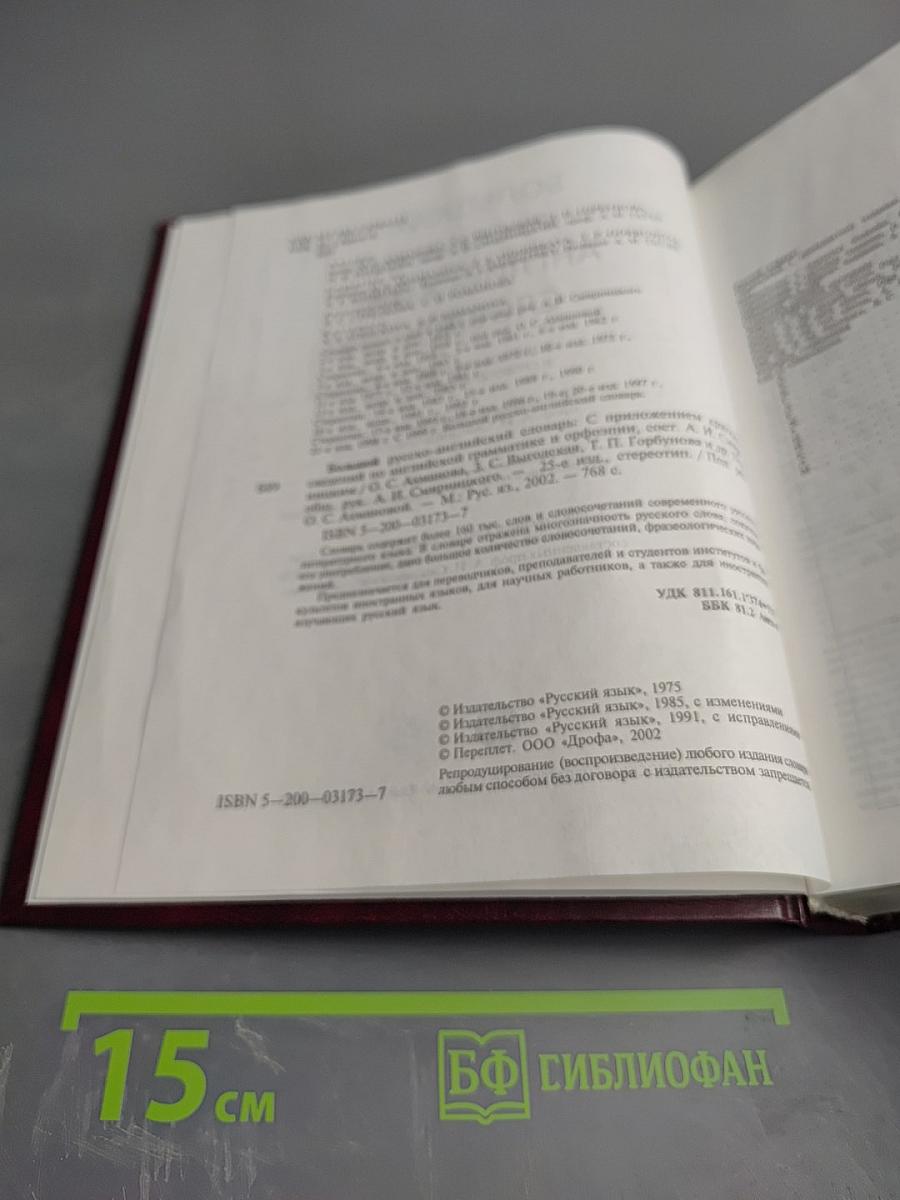 Большой русско-английский словарь