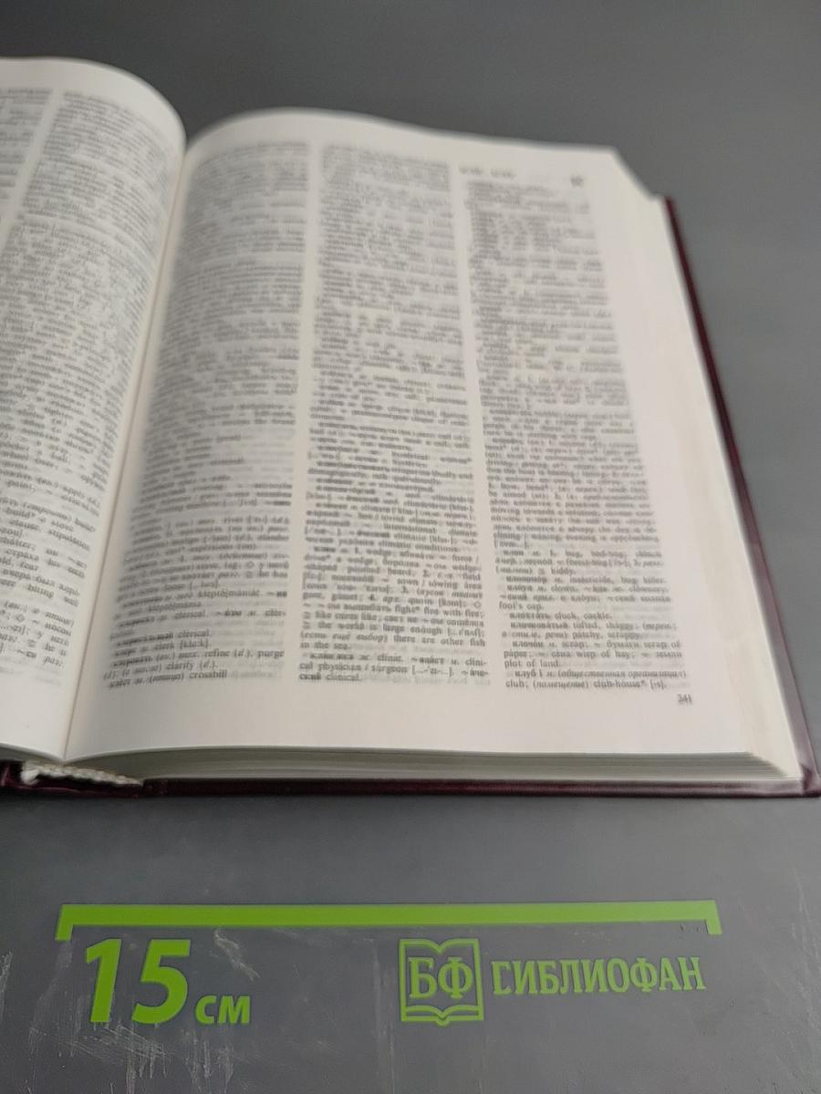 Большой русско-английский словарь