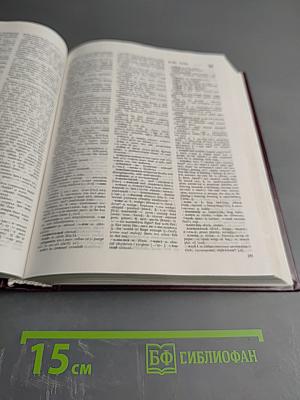 Большой русско-английский словарь