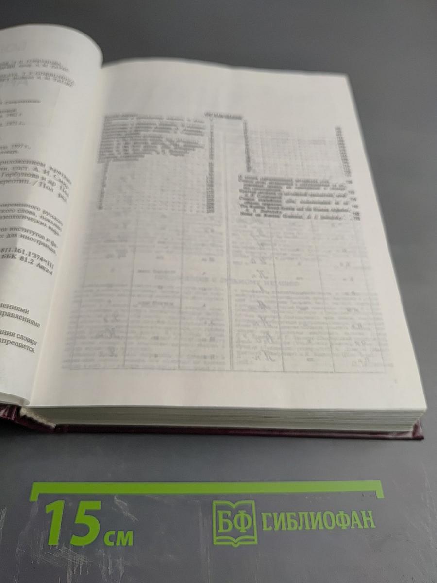 Большой русско-английский словарь