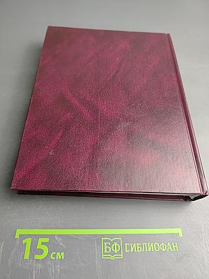 Большой русско-английский словарь