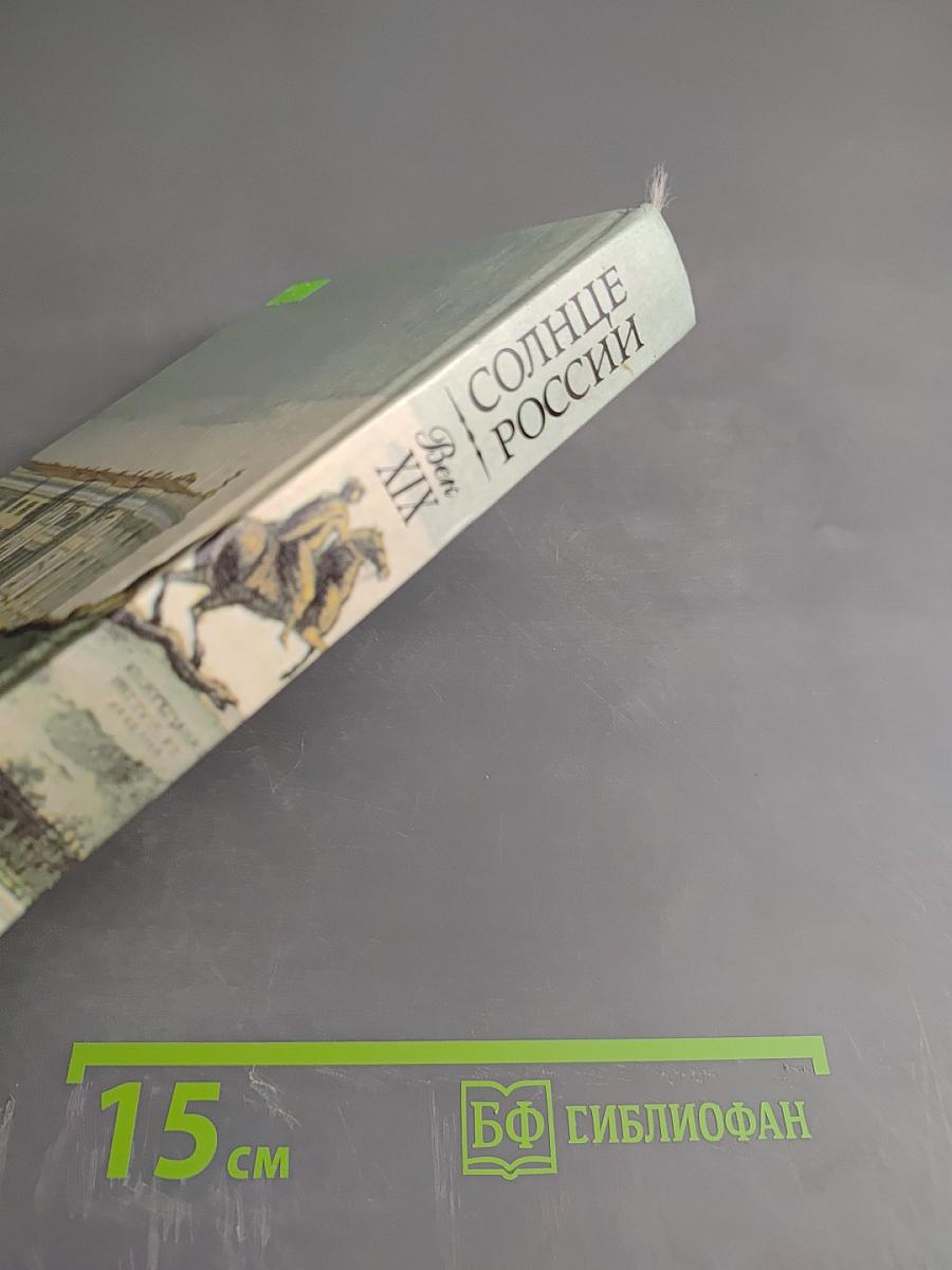 Солнце России. Русские писатели о Пушкине. Век XIX